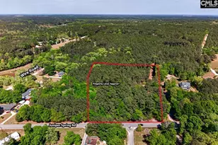 219 Juniper Springs Road Parcel A &amp b, Gilbert, SC 29054 - Photo 1
