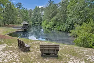 12 W Canterbury Ct, Blythewood, SC 29016 - Photo 77