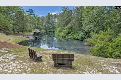 12 W Canterbury Court, Blythewood, SC 29016 - Photo 69