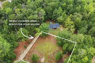 1605 S Lake Dr, Lexington, SC 29073 - Photo 3