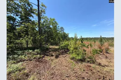 Hrf 1 Holstein Road #HRF 1, Wagener, SC 29164 - Photo 35