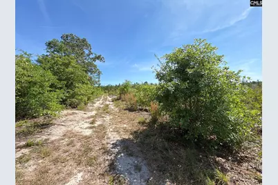 Hrf 1 Holstein Road #HRF 1, Wagener, SC 29164 - Photo 15