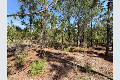 Hrf 2 Holstein Road #HRF 2, Wagener, SC 29164 - Photo 7