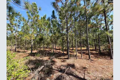 Hrf 2 Holstein Road #HRF 2, Wagener, SC 29164 - Photo 5
