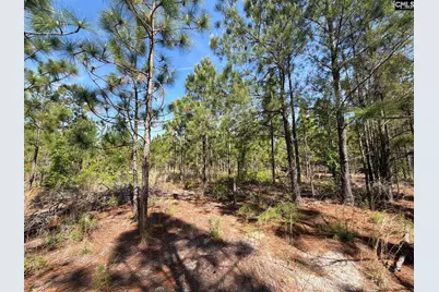 Hrf 2 Holstein Road #HRF 2, Wagener, SC 29164 - Photo 9
