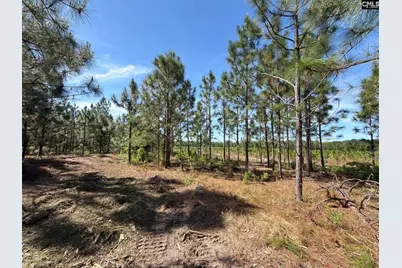 Hrf 3 Holstein Road #HRF 3, Wagener, SC 29164 - Photo 1