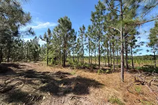 Hrf 3 Holstein Rd, Wagener, SC 29164 - Photo 1