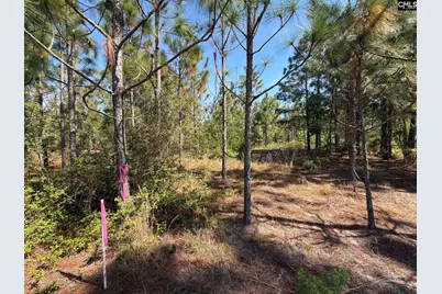 Hrf 4 Holstein Road #HRF 4, Wagener, SC 29164 - Photo 3