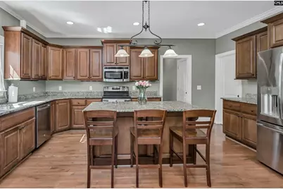 447 Beaumont Park Circle, Blythewood, SC 29016 - Photo 9