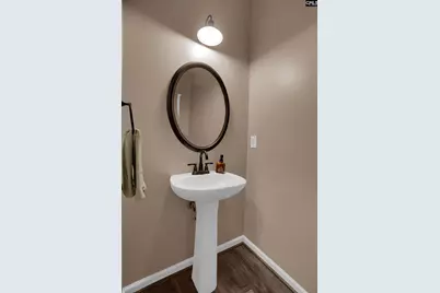 412 Mana Vista Court, Lexington, SC 29072 - Photo 39