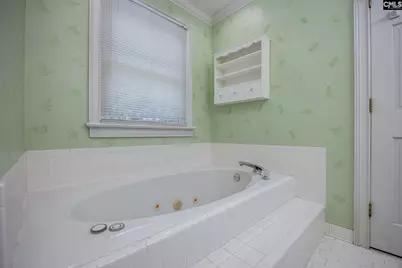 25 Hilltopper Court, Blythewood, SC 29016 - Photo 33
