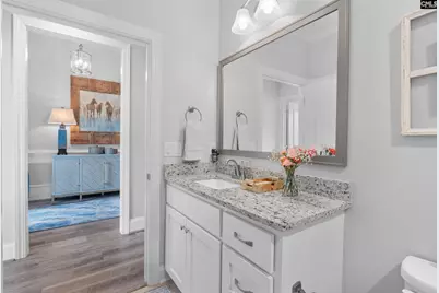 209 Mary Locke Court, Elgin, SC 29045 - Photo 29