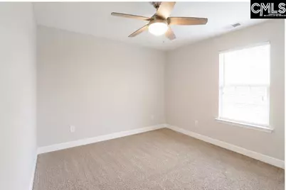 425 Maria Posada Court, Chapin, SC 29036 - Photo 19