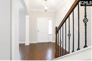 425 Maria Posada Ct, Chapin, SC 29036 - Photo 7