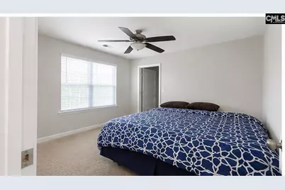 425 Maria Posada Court, Chapin, SC 29036 - Photo 15