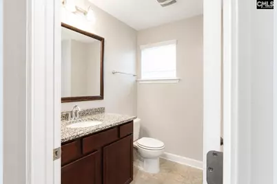 425 Maria Posada Court, Chapin, SC 29036 - Photo 17