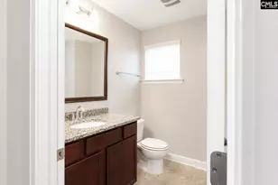 425 Maria Posada Ct, Chapin, SC 29036 - Photo 17