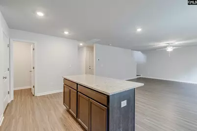 221 Kingsley Drive, Blythewood, SC 29016 - Photo 13
