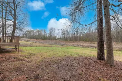 233 Braewick Road, Columbia, SC 29212 - Photo 5