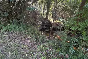 1514 Mower, Newberry, SC 29108 - Photo 17
