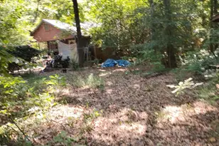 110 Love Ln, Orangeburg, SC 29115 - Photo 3