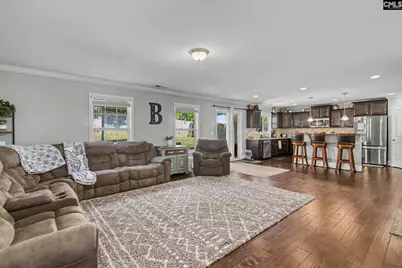 137 Palm Street, Chapin, SC 29036 - Photo 7