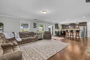 137 Palm St, Chapin, SC 29036 - Photo 7