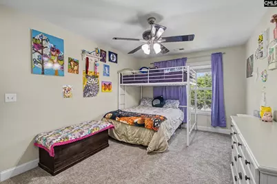137 Palm Street, Chapin, SC 29036 - Photo 21
