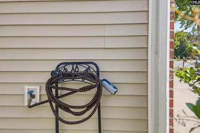 137 Palm Street, Chapin, SC 29036 - Photo 23