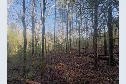 521 Mount Valley Road, Blythewood, SC 29016 - Photo 3