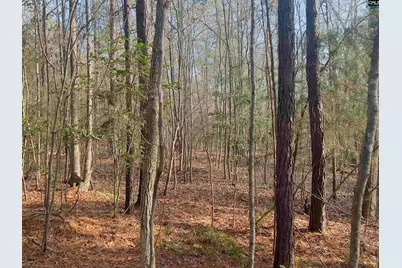 521 Mount Valley Road, Blythewood, SC 29016 - Photo 5