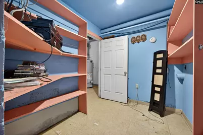 203 Hollly Ridge Lane, West Columbia, SC 29169 - Photo 57