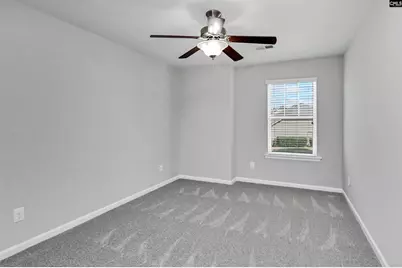 409 Crawley Lane, Chapin, SC 29036 - Photo 47