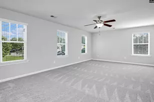 409 Crawley Ln, Chapin, SC 29036 - Photo 49