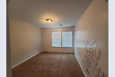 9 Texas Black Way, Elgin, SC 29045 - Photo 13