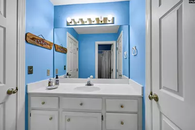 135 Willowood Cove, Chapin, SC 29036 - Photo 51
