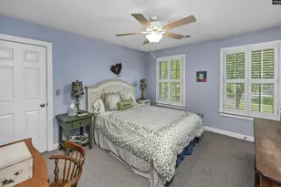 135 Willowood Cove, Chapin, SC 29036 - Photo 47