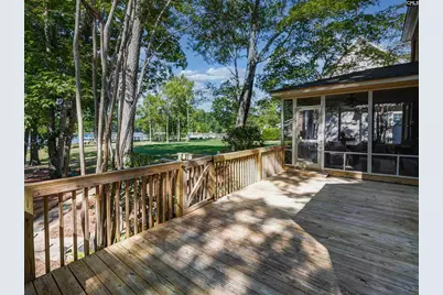 135 Willowood Cove, Chapin, SC 29036 - Photo 7