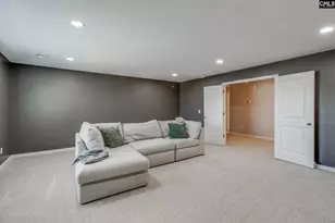 702 Autumn Shiloh Dr, Chapin, SC 29036 - Photo 41