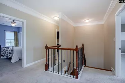316 Asa Rose Lane, Lexington, SC 29072 - Photo 57
