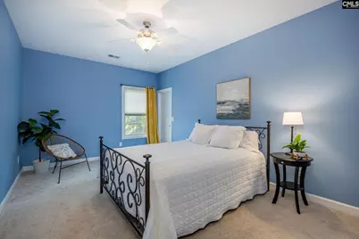 316 Asa Rose Lane, Lexington, SC 29072 - Photo 41