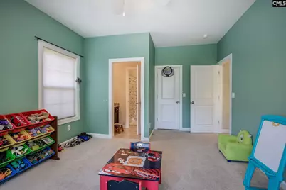 316 Asa Rose Lane, Lexington, SC 29072 - Photo 51