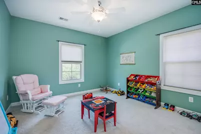 316 Asa Rose Lane, Lexington, SC 29072 - Photo 49