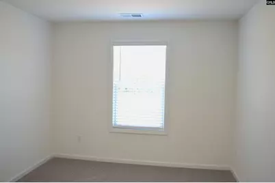 328 Conductor Lane, Irmo, SC 29063 - Photo 27