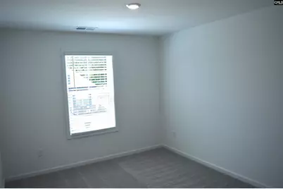 328 Conductor Lane, Irmo, SC 29063 - Photo 23