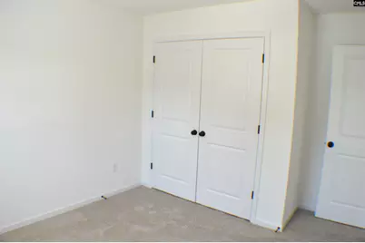 320 Conductor Lane, Irmo, SC 29063 - Photo 37