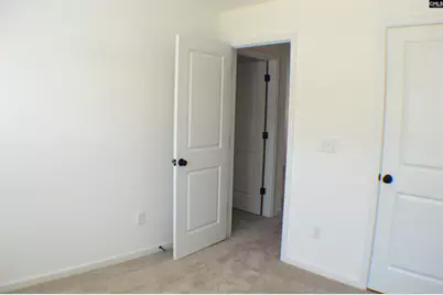 320 Conductor Lane, Irmo, SC 29063 - Photo 33