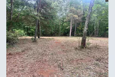 0 Hwy 202 Highway, Little Mountain, SC 29075 - Photo 5
