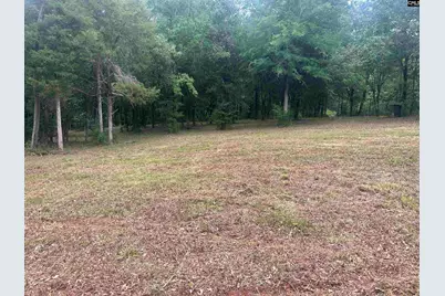 0 Hwy 202 Highway, Little Mountain, SC 29075 - Photo 7