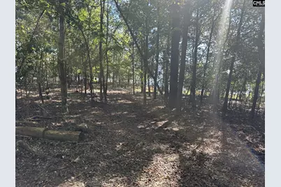 000 Circle H. Wood Road, Prosperity, SC 29127 - Photo 5
